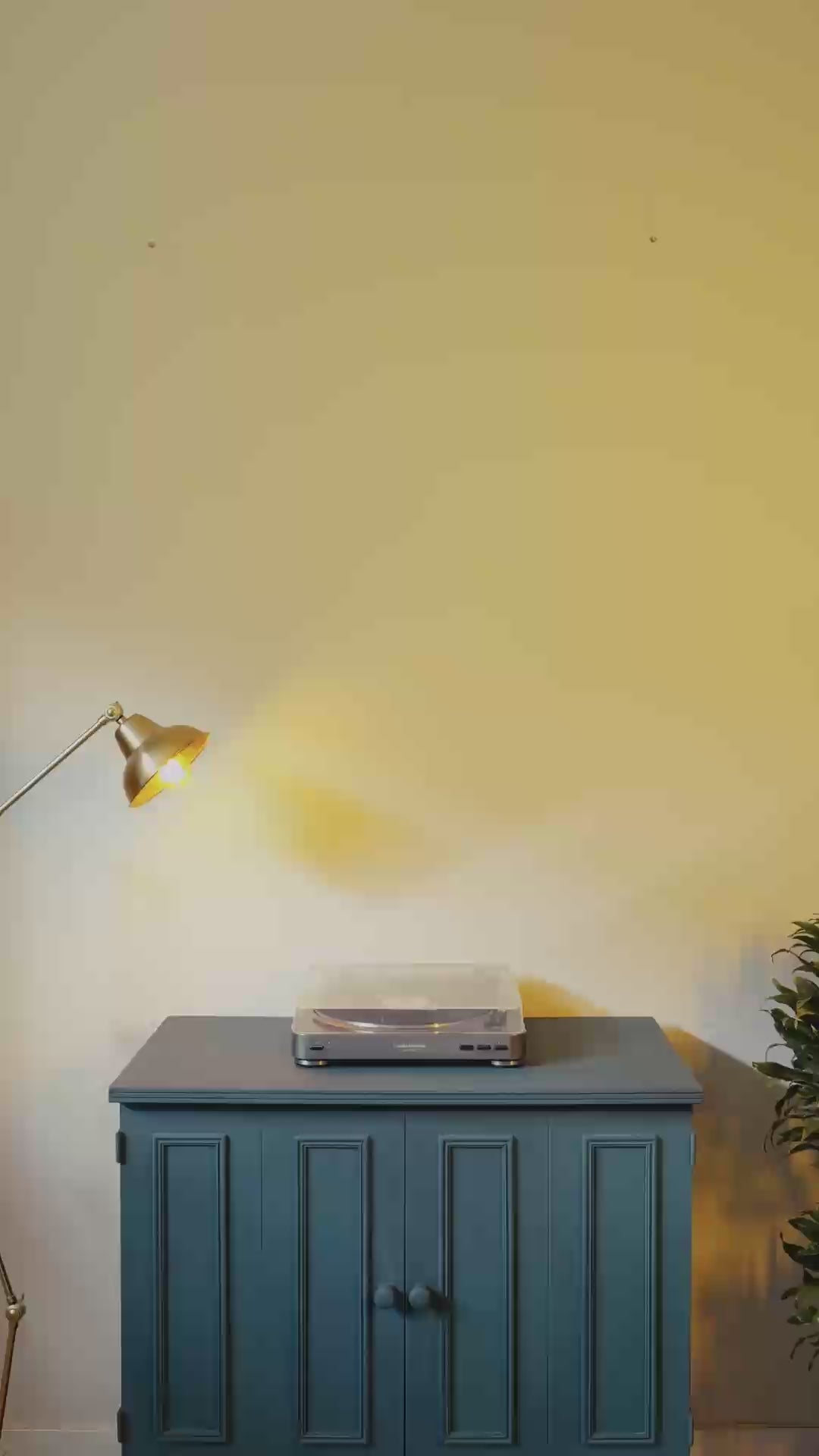 Video laden: lp en vinyl ophangen aan muur